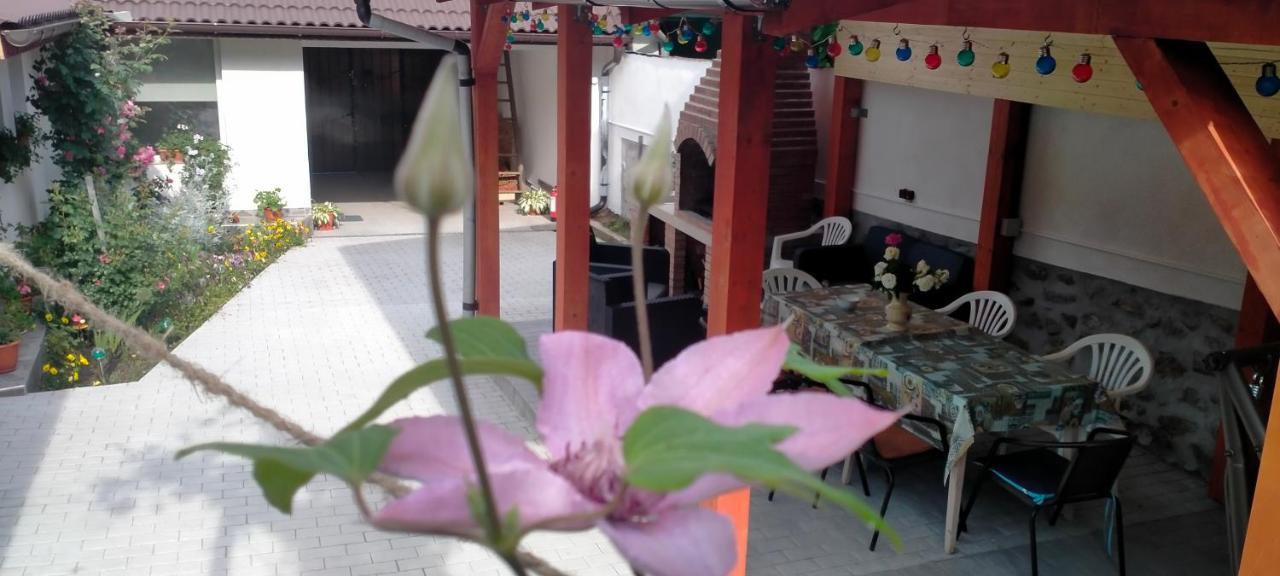 Casa Luminita Villa Eselnita Exterior photo